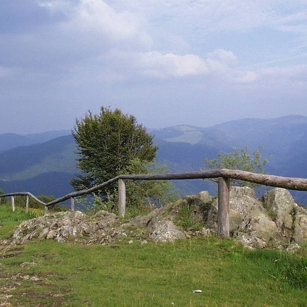 Schauinsland Schauinsland