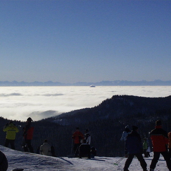 Skifahren auf dem Feldberg mit Nebeldecke Skifahren auf dem Feldberg mit Nebeldecke