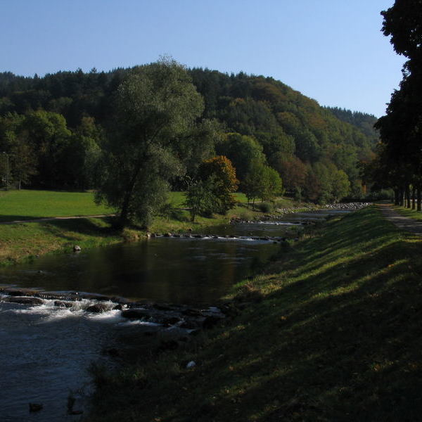 Dreisam im Sommer Dreisam im Sommer