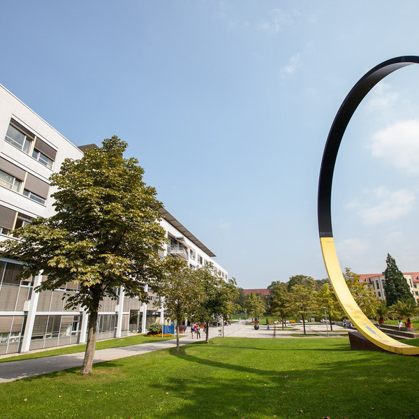 Park II (c) Universitätsklinikum Freiburg/Britt Schilling Park II (c) Universitätsklinikum Freiburg/Britt Schilling