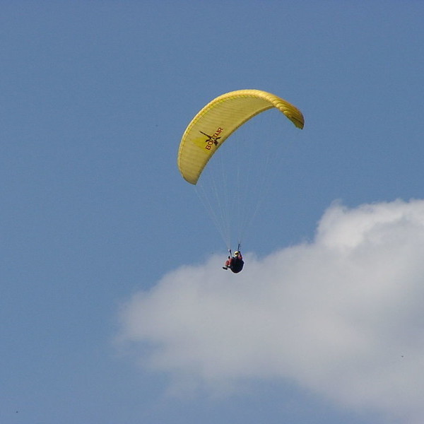 Gleitschirmflieger bei Freiburg Gleitschirmflieger bei Freiburg