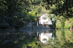 Waldsee Waldsee